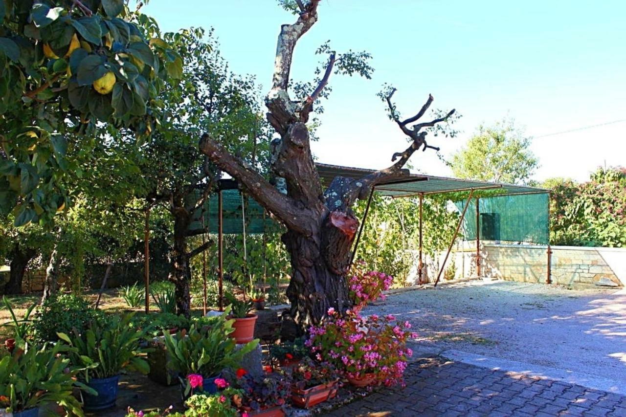 Palmira Porec Exterior photo